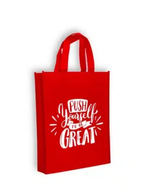 NB 111 Non Woven Bag