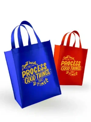 A4 Non Woven Stitch Bag